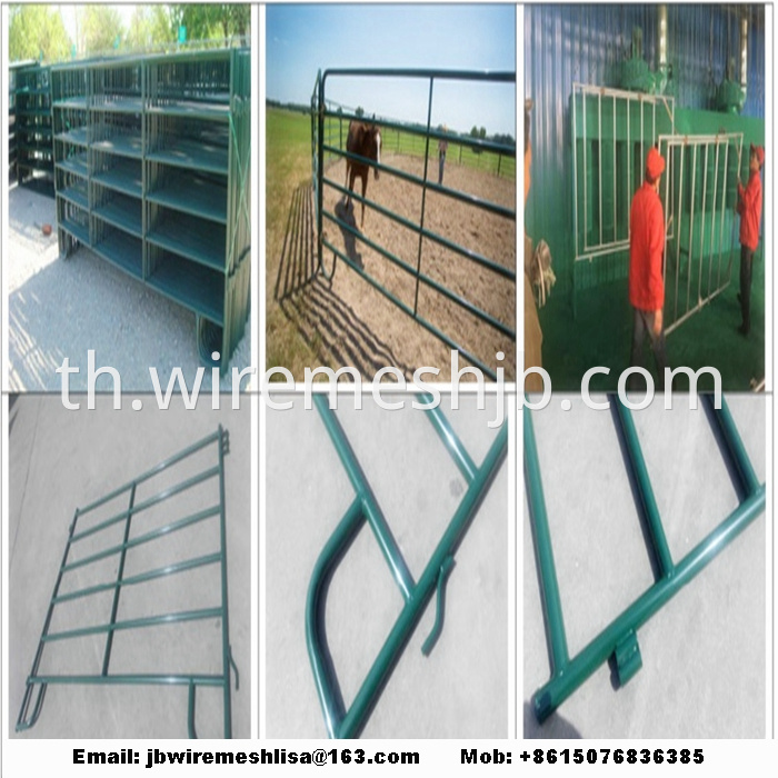 Powder Coated And Galvanized Horse Fence Panel